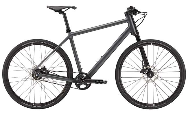 cannondale bad boy 1 2020 review