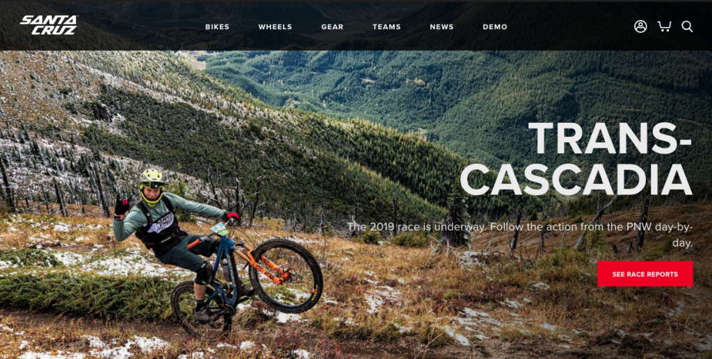 santa cruz carbon fiber mountain bike