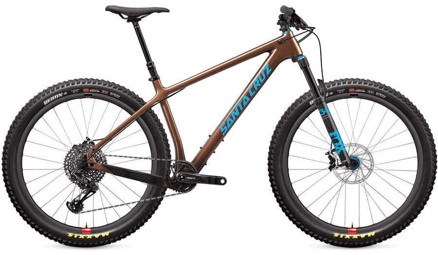 santa cruz chameleon special edition