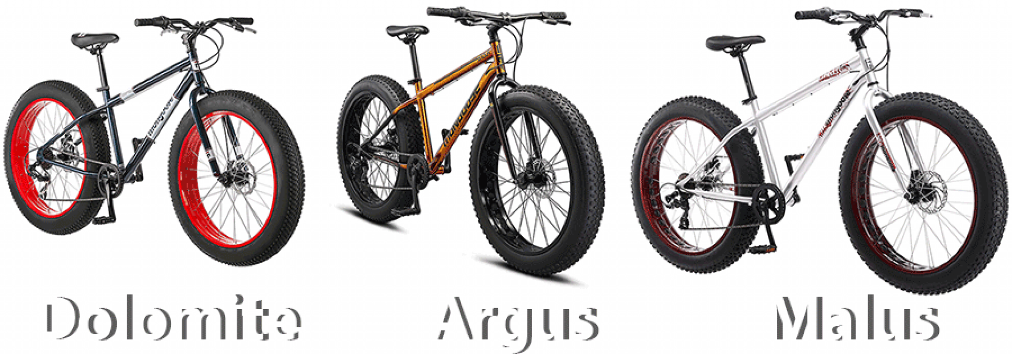 Best Fat Tire Bikes You Can Buy in 2024 For YearRound Cycling