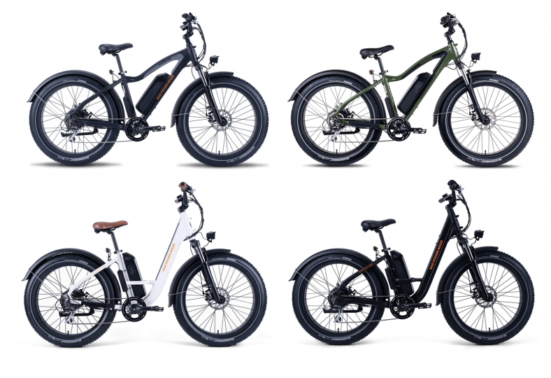 radrover electric fat bike review