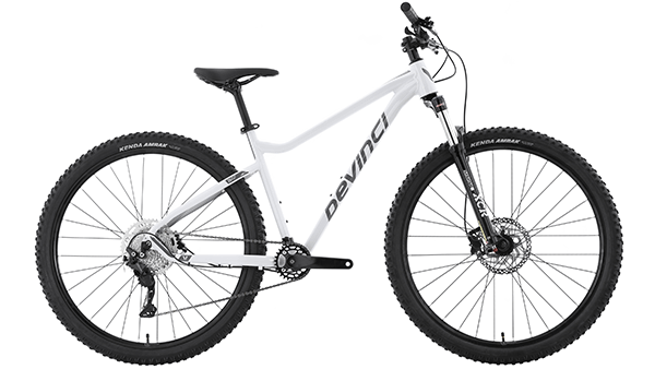 best bang for the buck mountain bike