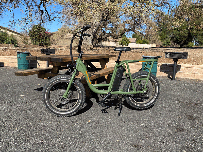 RadRunner 1 electric bicycle standing in the park