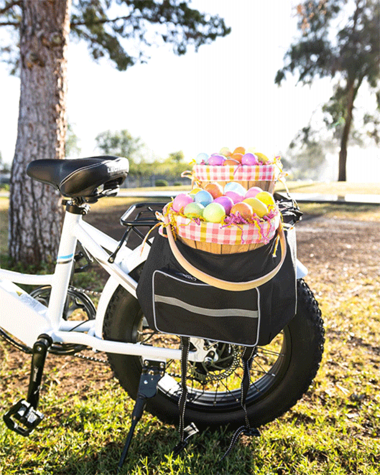 lectric xp pannier bags