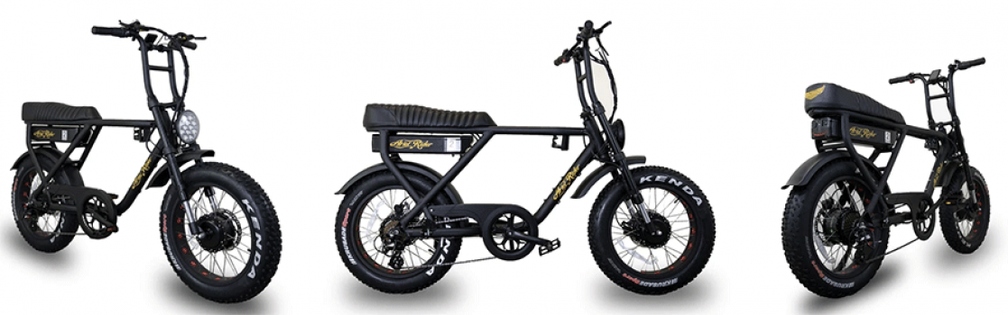 Ariel Rider D-Class [Overview]