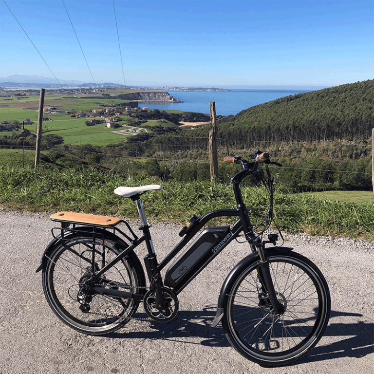 diy ebike battery charger