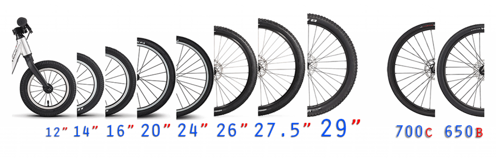 Bicycle Wheel Size Guide (12