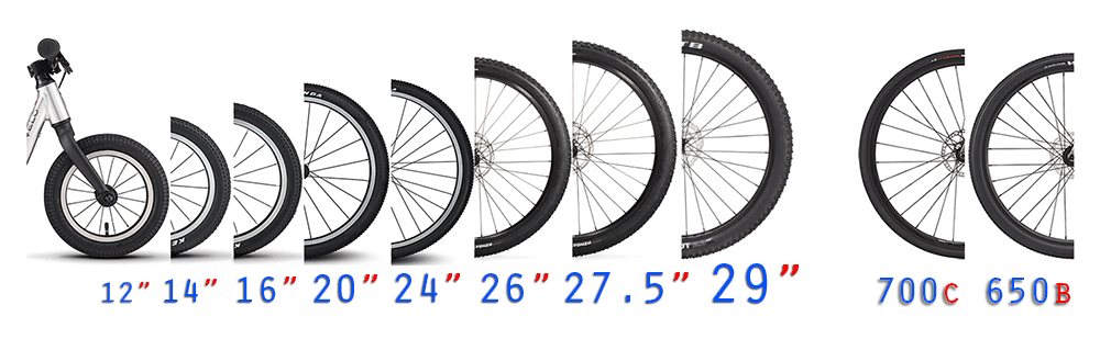 Common bicycle wheel store sizes