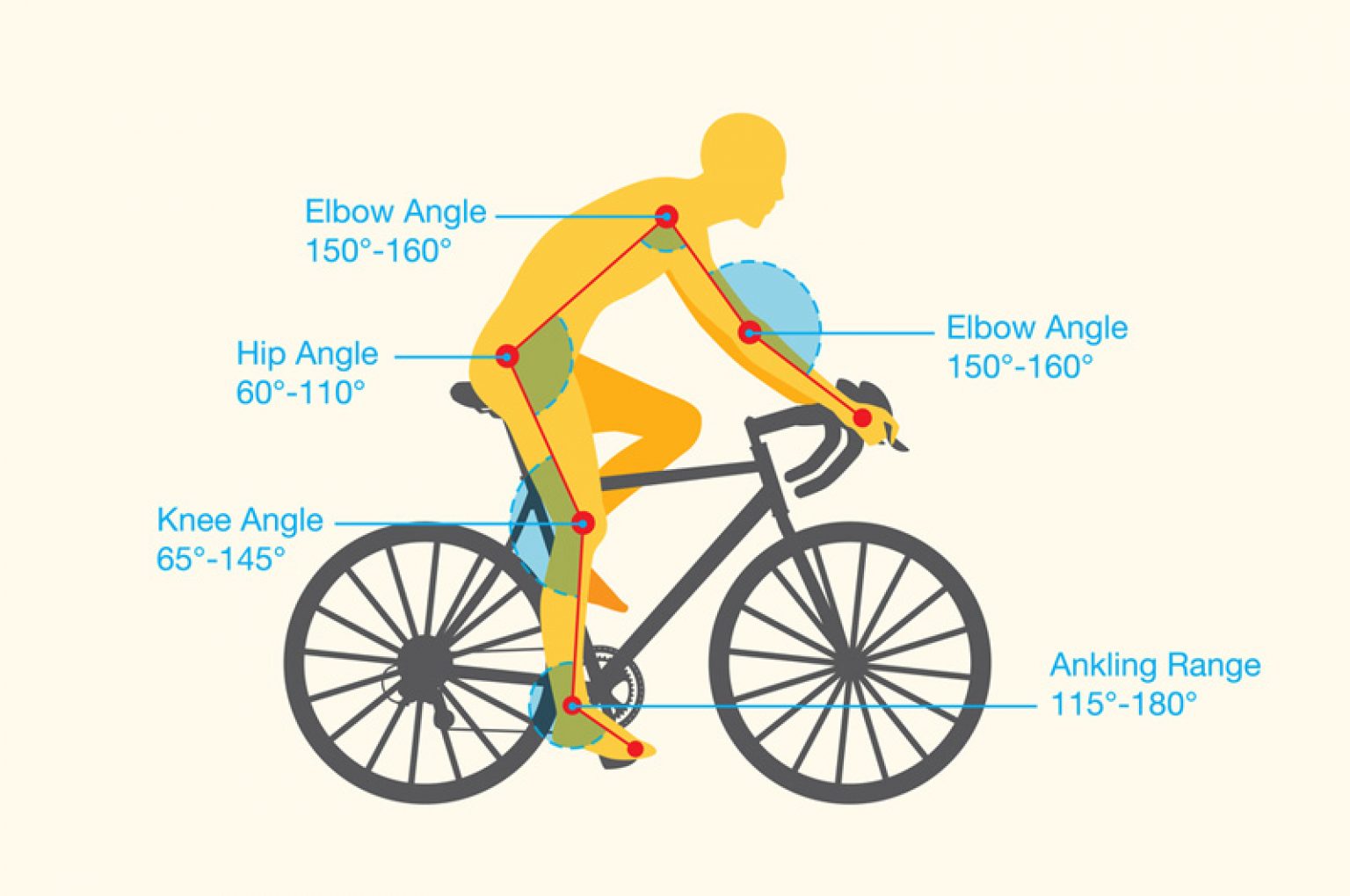 How High Should The Seat Be On A Road Bike at Lina Brian blog