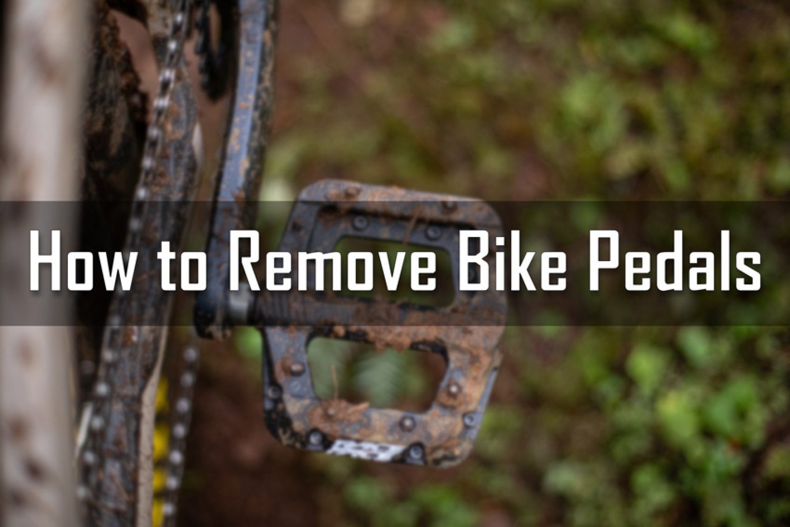 How to Remove Bike Pedals A StepbyStep Guide [With Photos]