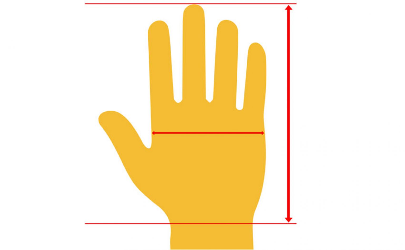 Best Cycling Gloves in 2024 Top Models Reviewed [Buyers' Guide]