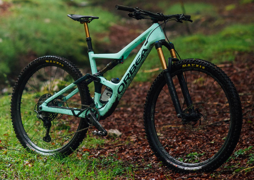 orbea occam in the forest