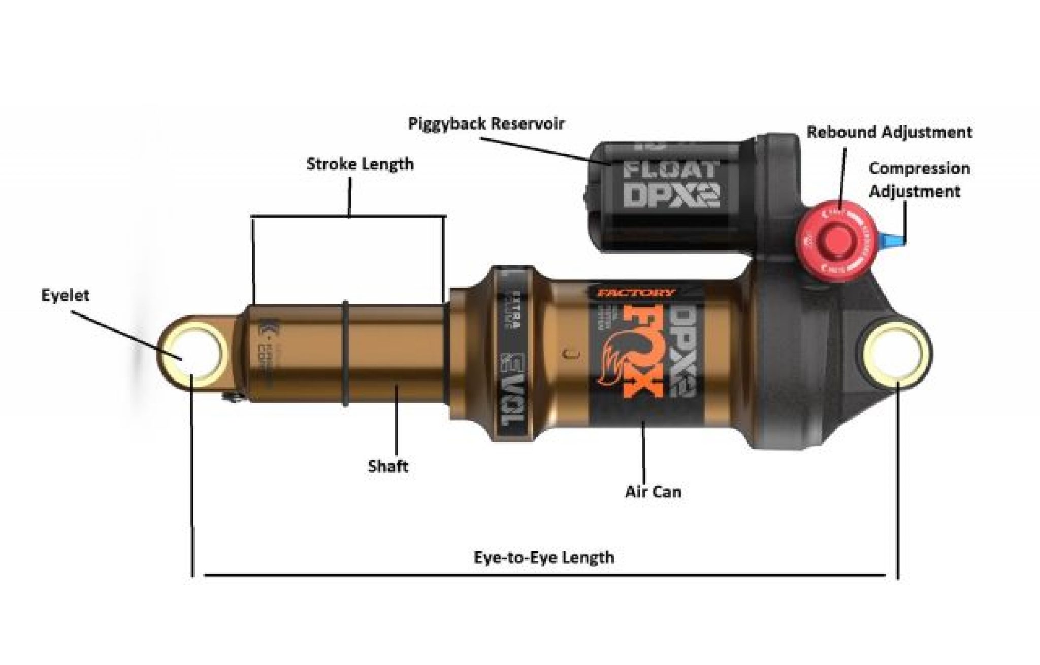 Complete Mountain Bike Suspension Guide Basic Terms and Setup