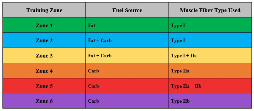 power zones, fuel, and mucle fiber activation chart