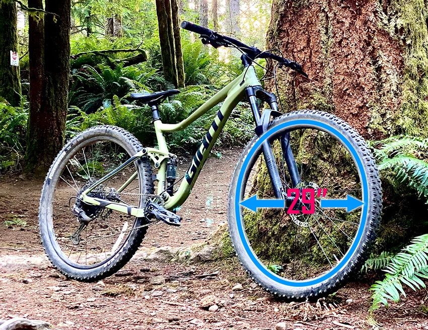 29er montain bike in a forest