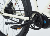 Best Belt-Drive Ebikes of 2024: Low-Maintenance E-Bikes Without a Chain