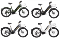 Buzz E-Bikes Overview: Unmatched Value and Versatility for Every Rider