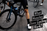 What Muscles Does Biking Work & How to Train and Stretch Them