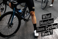 What Muscles Does Cycling Work? From Core to Calves